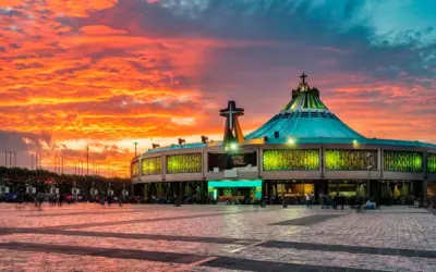 The Footsteps of Our Lady of Guadalupe