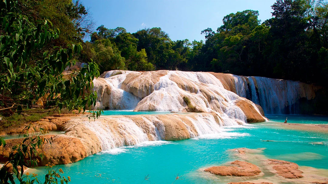 Chiapas tour, Chiapas package, Chiapas vacation, Mexico Chiapas tour, 5 day Chiapas tour, Chiapas 5 day package, Chiapas tour 5 days 4 nights, Chiapas adventure tour, Chiapas waterfalls tour, Palenque and Chiapas tour, Sumidero Canyon tour, 5 day Chiapas tour Tuxtla Palenque, Chiapas indigenous communities tour, 5 day tour Chiapas Sumidero Canyon Palenque, Best 5 day Chiapas tour package, Chiapas nature and culture tour, Chiapas waterfalls and Mayan ruins tour, Chiapas tour El Chiflon Misol Ha Agua Azul