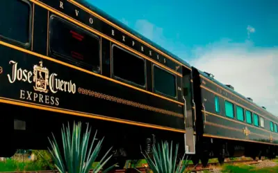 Encounter with Tequila