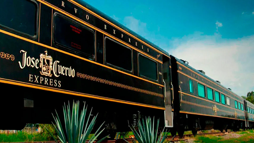 José Cuervo Express, Tequila Train, José Cuervo Tequila Train, Mundo Cuervo, La Rojeña Distillery, Tequila train from Guadalajara, Guadalajara to Tequila tour, Tequila day trip from Guadalajara, Tequila experience Mexico, Tequila route tour, José Cuervo Express tickets, Tequila train price, José Cuervo Express cost, Tequila train booking, José Cuervo Express schedule, José Cuervo Express review, What's included on José Cuervo Express, Is the Tequila train worth it, Things to do in Tequila, Jalisco
